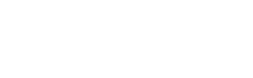 Drogasil Logo